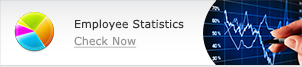 Download Employee Statistics Chart